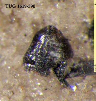 https://files.geocollections.info/large/ad/b9/adb97e6f-e811-4a66-ae71-0be82b037975.jpg