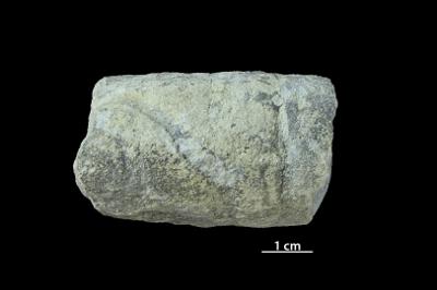 <i></i><br />Aluvere quarry,  m, Idavere Substage