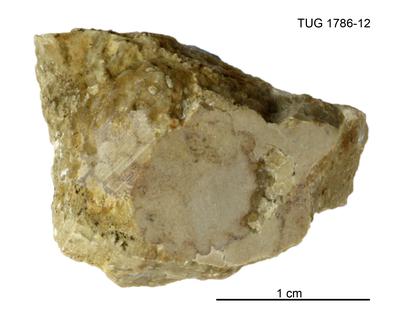 https://files.geocollections.info/large/af/25/af25e41d-2d9d-4653-a7ea-e36e9f5387e3.jpg