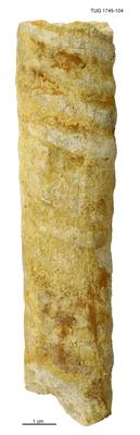 https://files.geocollections.info/large/af/bb/afbb7387-0205-4013-b5b1-92b5d6efbf17.jpg