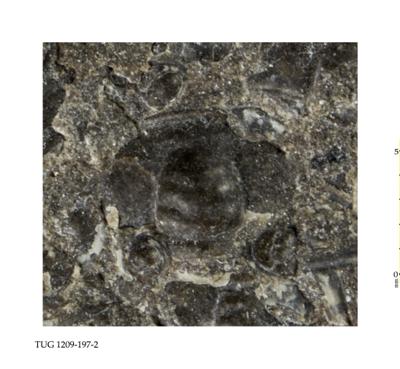 https://files.geocollections.info/large/b0/2d/b02d1988-ad5c-40e6-a264-d56d41624b3f.jpg