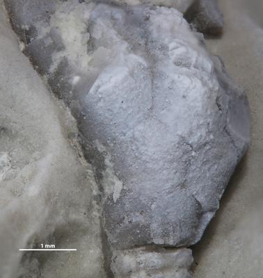 https://files.geocollections.info/large/b0/55/b0559873-54ed-4041-8781-d2d85a1b8602.jpg