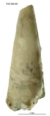 https://files.geocollections.info/large/b0/90/b090b40e-4047-492d-a564-3b7a47af9034.jpg