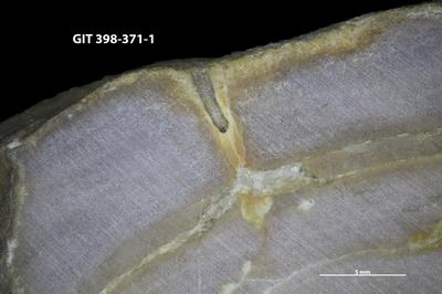 <i></i><br />Sepise outcrop,  m, Jaagarahu Stage