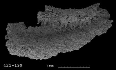 https://files.geocollections.info/large/b0/df/b0df1b3d-5aa6-46f1-b336-b680f3f3f127.jpg