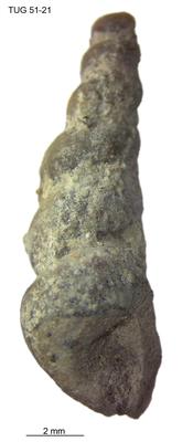 https://files.geocollections.info/large/b2/31/b231e074-d5da-4b47-833c-5aa7844f6e04.jpg