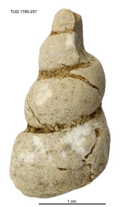https://files.geocollections.info/large/b2/6b/b26b0034-ffd8-4c60-adfe-cfeb7905fed7.jpg