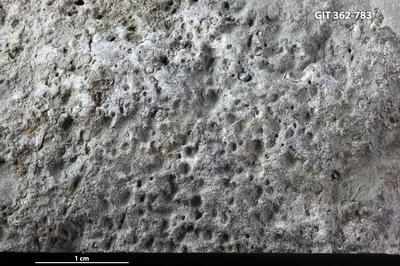 <i></i><br />Ohesaare cliff,  m, Ohesaare Stage