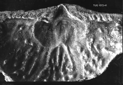 https://files.geocollections.info/large/b2/e2/b2e271e3-c641-4ba3-9cbc-48ffefbf3717.jpg