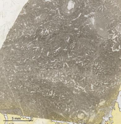 https://files.geocollections.info/large/b2/ed/b2edfde4-dc21-4ec8-b800-c387f9622e1c.jpg