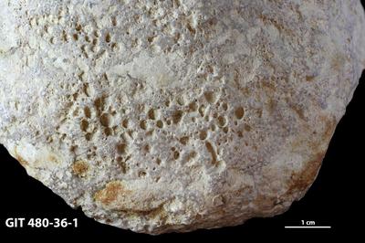 <i></i><br />Hosholm shore,  m, Pirgu Stage