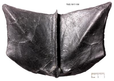 https://files.geocollections.info/large/b3/30/b330dc82-73b2-48f1-be6b-c46462b6a6ba.jpg