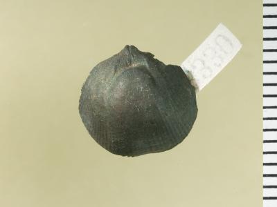 https://files.geocollections.info/large/b3/4c/b34cad49-9a6e-47f0-9370-964203ab546e.jpg