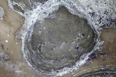 https://files.geocollections.info/large/b3/62/b3627432-3833-472e-bcaa-8e7a404bf8bb.jpg
