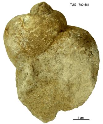 https://files.geocollections.info/large/b4/9e/b49e9216-a719-444d-9dbb-41c1eaffa4ae.jpg
