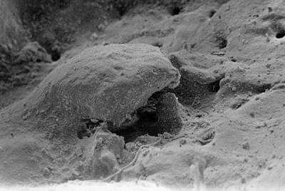 https://files.geocollections.info/large/b4/a8/b4a8986f-d67b-4eb2-ab05-51284c18c0b1.jpg