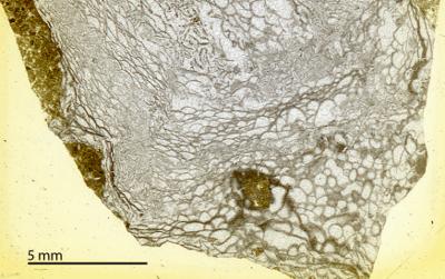 https://files.geocollections.info/large/b5/e6/b5e6de02-3f2a-4ec0-a50c-b65edaa74b74.jpg