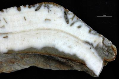 <i></i><br />Hosholm shore,  m, Pirgu Stage