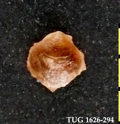 https://files.geocollections.info/large/b6/0a/b60a7063-7766-43d3-9d1b-4f78ad091e12.jpg