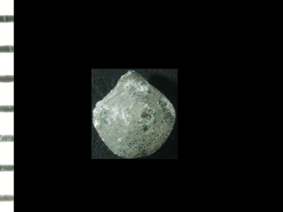 https://files.geocollections.info/large/b6/75/b675fb08-4875-4d1c-8cec-e5e97372281f.jpg