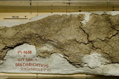 https://files.geocollections.info/large/b7/34/b734e8df-735f-4a68-9879-b8e35c8ac385.jpg