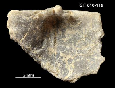 https://files.geocollections.info/large/b7/83/b783a8ff-16a5-47cd-8e8e-b947c2dd08ef.jpg