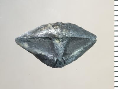 https://files.geocollections.info/large/b7/b3/b7b3bc7d-a4ef-4eed-9813-1227e5361218.jpg