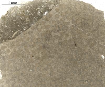 https://files.geocollections.info/large/b8/50/b850a946-4857-4deb-a13a-a092b510e935.jpg