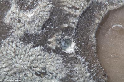 <i></i><br />Rakvere swimmingpool,  m, Oandu Stage