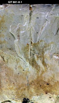 <i></i><br />Sutlema quarry,  m, 