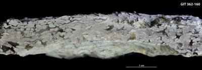 https://files.geocollections.info/large/ba/16/ba167a7a-b735-4448-a6d7-26eb070c2d99.jpg