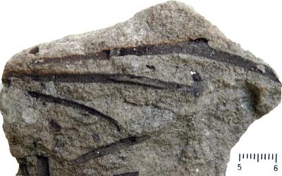 https://files.geocollections.info/large/ba/92/ba92f0c8-ef71-415c-9c09-52241131fa32.jpg