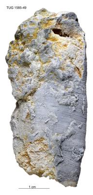https://files.geocollections.info/large/bb/92/bb9229c4-f5e3-4a1f-acfb-6f3a878f8b14.jpg