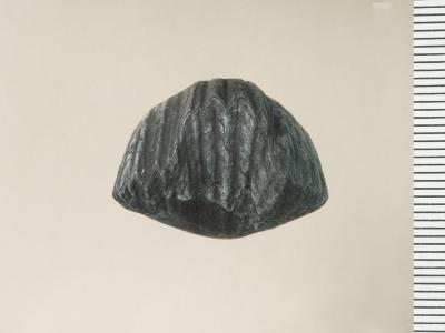 https://files.geocollections.info/large/bb/96/bb968b65-11f9-41b8-ba79-17f2031bdee0.jpg