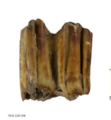 https://files.geocollections.info/large/bb/f2/bbf2de93-909b-4e00-a98f-e4a48adce6ef.jpg