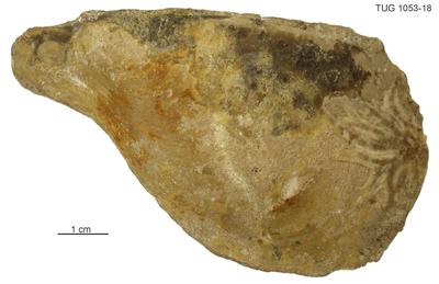 https://files.geocollections.info/large/bc/48/bc489e6a-7e6f-4b8b-a395-fa30d37f6726.jpg