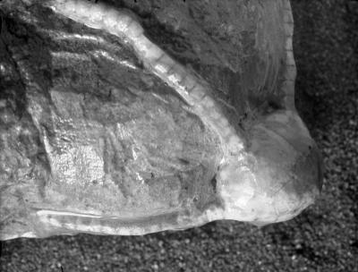 https://files.geocollections.info/large/bc/87/bc8770e4-9386-45a1-a0da-fb0c491175d0.jpg