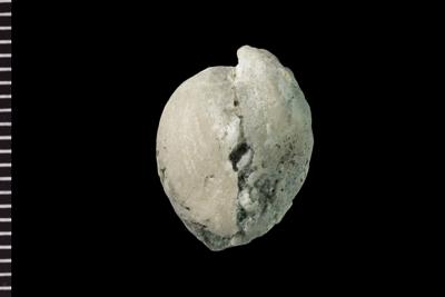 https://files.geocollections.info/large/bc/a0/bca03fdf-379d-4f51-8170-c1bbf0ad73c6.jpg