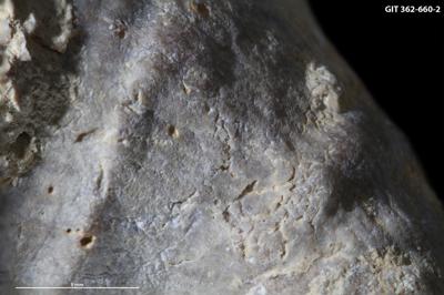 <i></i><br />Tapa,  m, Vormsi Stage