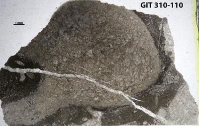 https://files.geocollections.info/large/bd/3b/bd3bdf5d-697d-472f-9bac-30bfde2d2d0a.jpg
