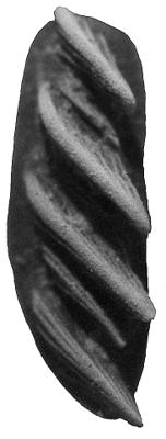 https://files.geocollections.info/large/bd/66/bd66bb2f-f0b5-470b-980c-d44d83a3ce09.jpg