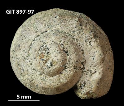 https://files.geocollections.info/large/bd/71/bd71f1b7-5beb-4e93-b74e-8f332046baeb.jpg