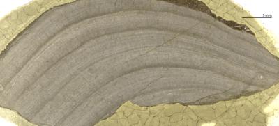 https://files.geocollections.info/large/bd/84/bd84645d-4e66-4c1c-997b-f29166789e9e.jpg