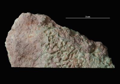 <i></i><br />Syass River, Rebrovo, Leningrad District,  m, Volkhov Stage