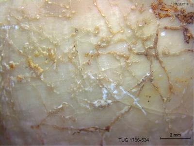 https://files.geocollections.info/large/be/23/be23891b-6d36-4758-85b4-b2ad7555247e.jpg