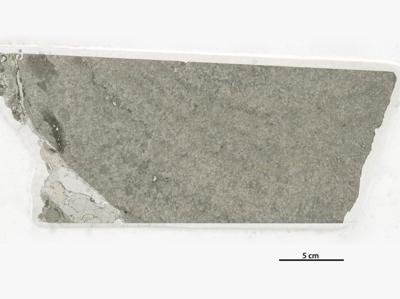 https://files.geocollections.info/large/be/2d/be2d37fb-5122-456d-bab9-b3f931b095c3.jpg