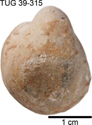 https://files.geocollections.info/large/be/6c/be6c52de-f28c-4d6e-b173-a5b096d895bf.jpg