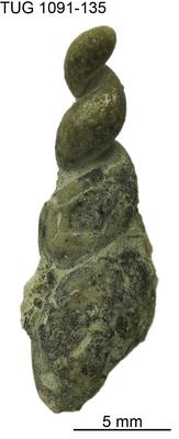 https://files.geocollections.info/large/be/ef/beef2b57-fefb-477b-8107-ea4b7eb43e2b.jpg