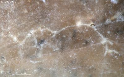 <i></i><br />Kesselaid,  m, Adavere Stage