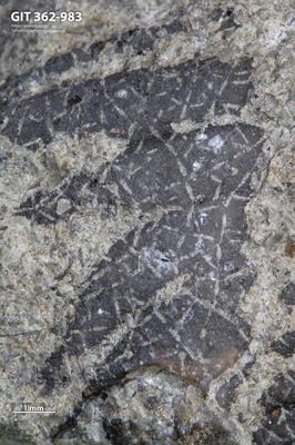 <i></i><br />Ohesaare cliff,  m, Ohesaare Stage